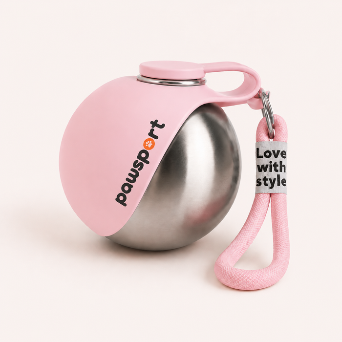 Portable Dog Water Bottle with Foldable Bowl