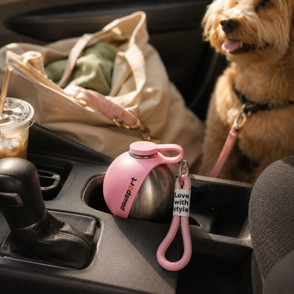Dog in a car with a pink water bottle holder and leash on a cup holder.